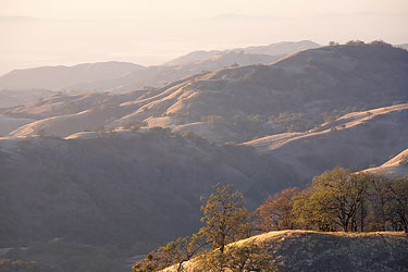 Example of telephoto layering - Mt Hamilton, California