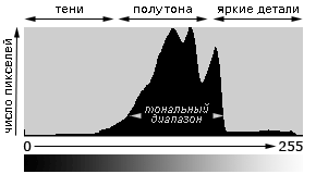 Пример гистограммы