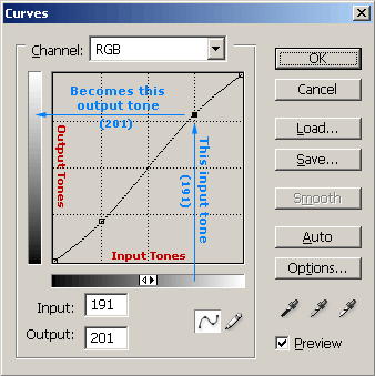 Using the Photoshop Curves Tool