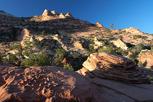 photo using a polarizing filter