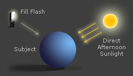 diagram: overhead sunlight with a fill flash