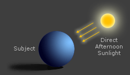 diagram: harsh overhead sunlight portrait