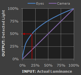 linear vs nonlinear gamma - cameras vs human eyes