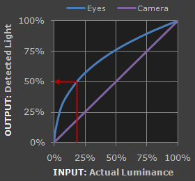 Gamma Test Chart