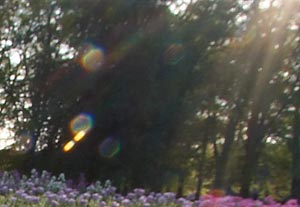 closeup of lens flare