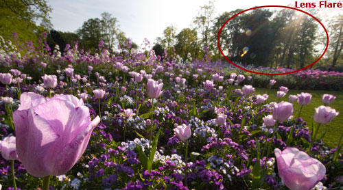 flare de lentille dans une photo