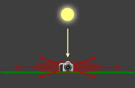 polarizing filter during mid-day light