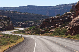 without a polarizer - reflective road, higher contrast