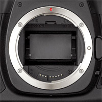 SLR camera sensor