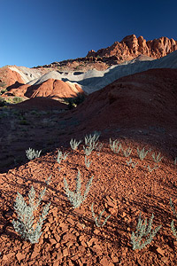 Polarizing Filter with a Wide Angle Lens - Coral Reef National Park, Utah